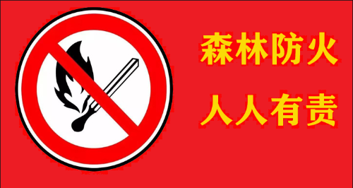 f22184419cebd49845f4b2a48eb1e19.png