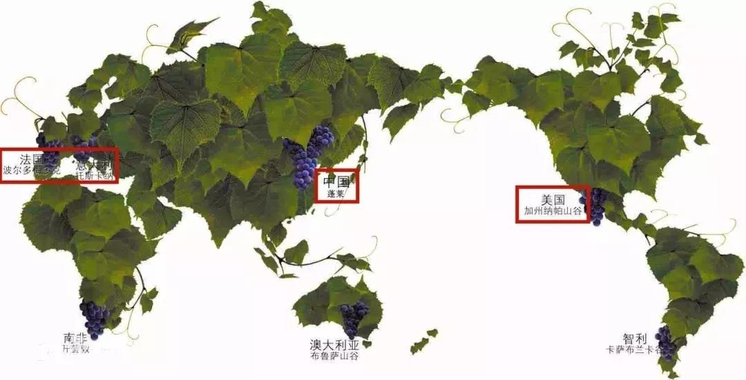 报名通道开启2019蓬莱葡萄酒国际马拉松10月27日开跑
